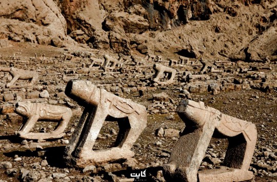 تست آموزش خالی