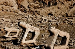 تست آموزش خالی