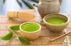 چای ماچا چیست؟ خواص و تاریخچه چای ماچا